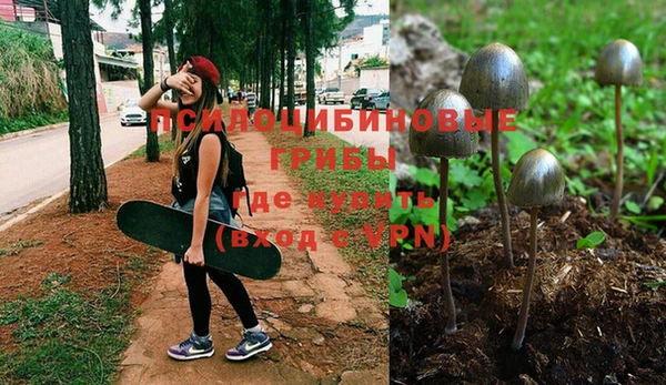 ешки Гусь-Хрустальный
