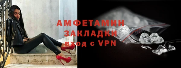 ПСИЛОЦИБИНОВЫЕ ГРИБЫ Гусев