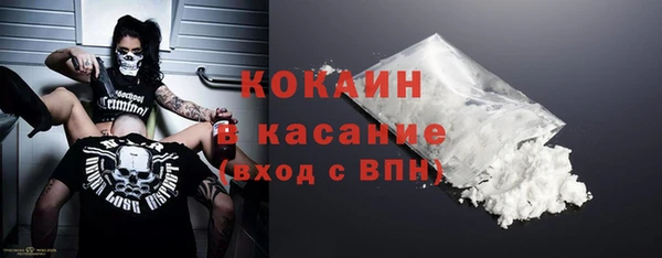 ПСИЛОЦИБИНОВЫЕ ГРИБЫ Гусев