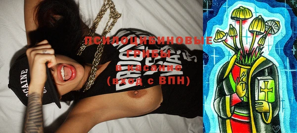ПСИЛОЦИБИНОВЫЕ ГРИБЫ Гусев
