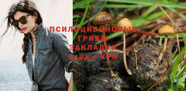 ешки Гусь-Хрустальный