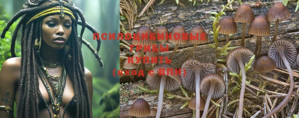 спайс Гусиноозёрск