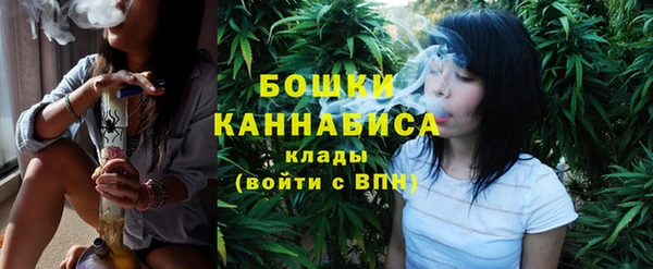 ПСИЛОЦИБИНОВЫЕ ГРИБЫ Гусев