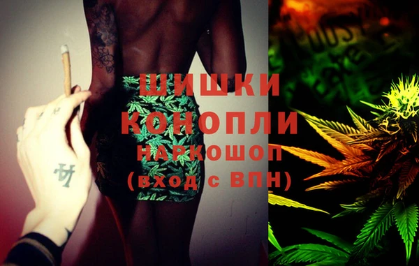 ешки Гусь-Хрустальный