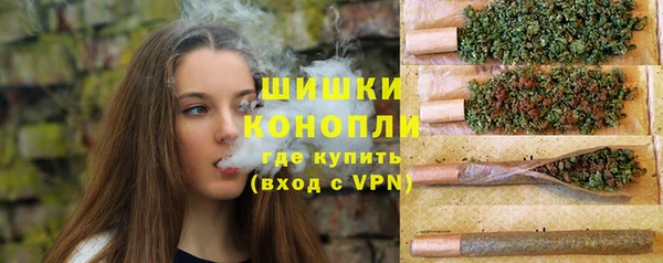 стафф Дмитровск